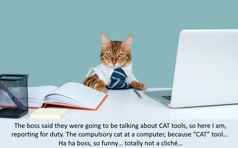cumpulsory cat at a computer