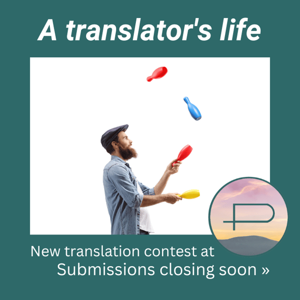 _A translators life 3