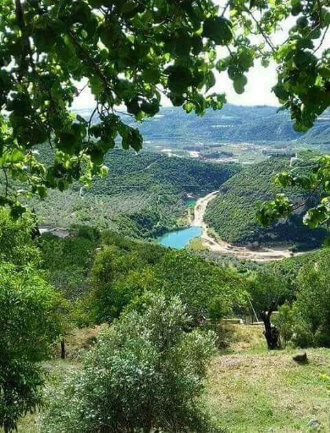 Pure Nature of Tartous Countryside 