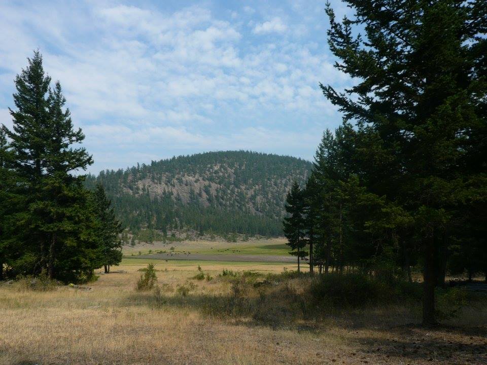 view from the yurt