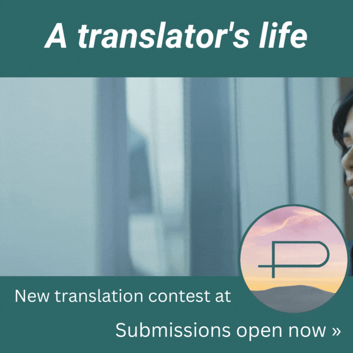 A translators life (4)