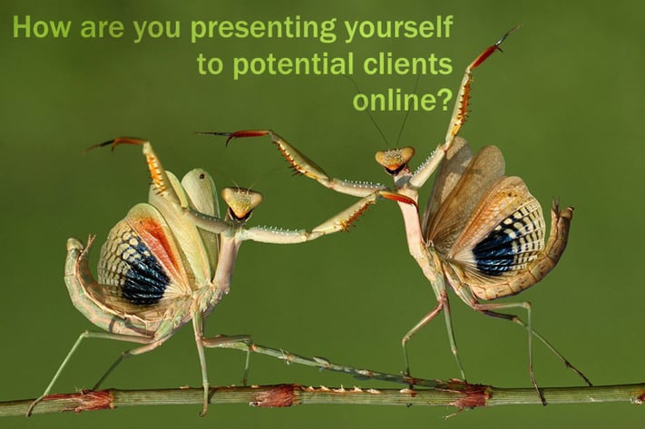 online_presentation.png